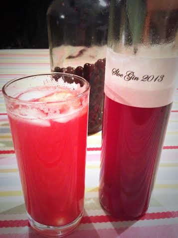 Slow Gin Fizz: Sloe Gin, Tonic, squeeze of Lemon and Ice